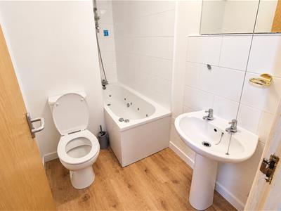 Picture 11